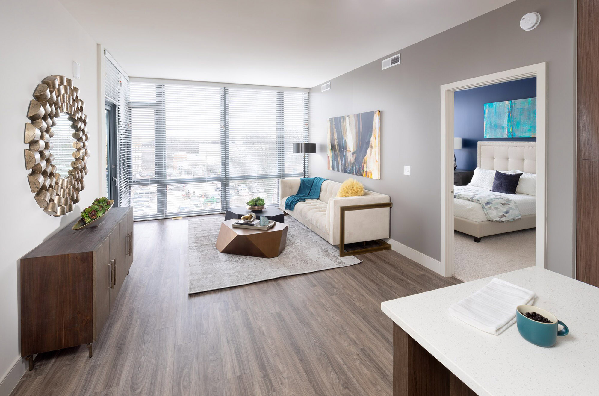 The living area in a Thayer and Spring apartment in downtown Silver Spring.