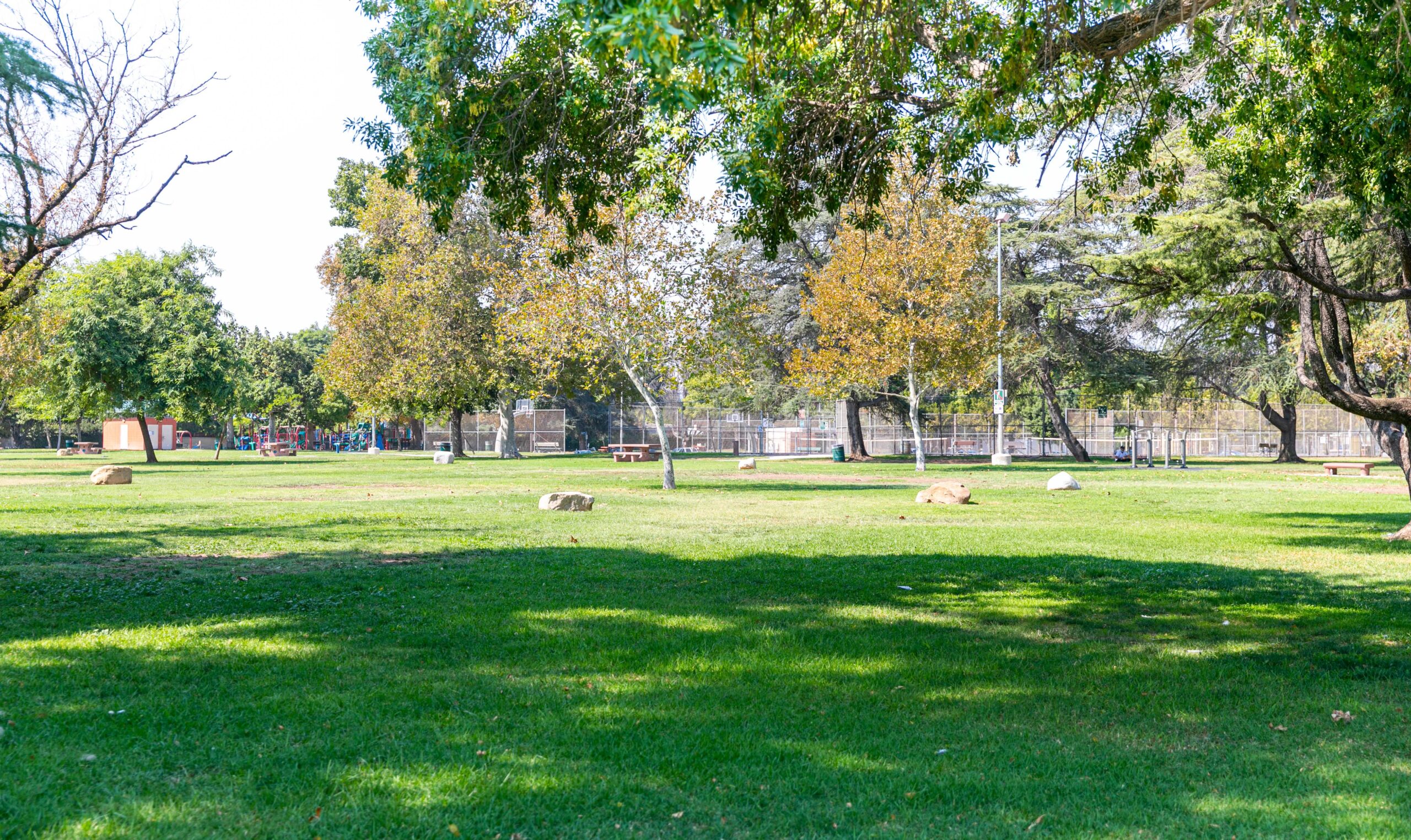 The park near Alder apartments in the heart of San Fernando Valley.