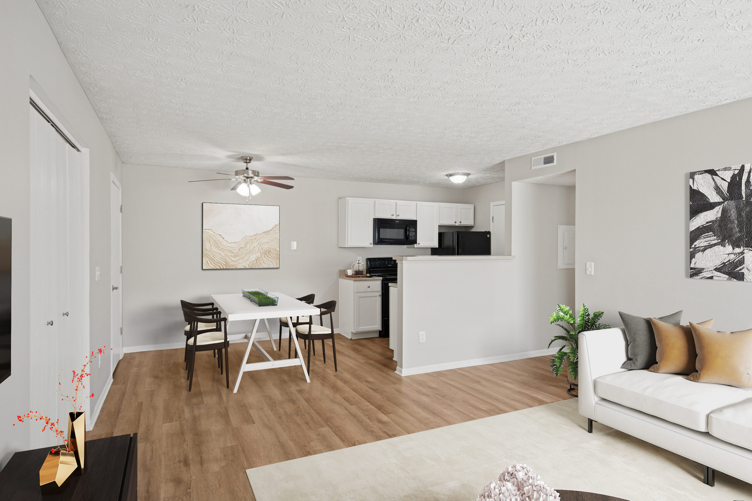 Open-concept modern living spaces